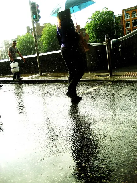 Nat wegdek in de regen